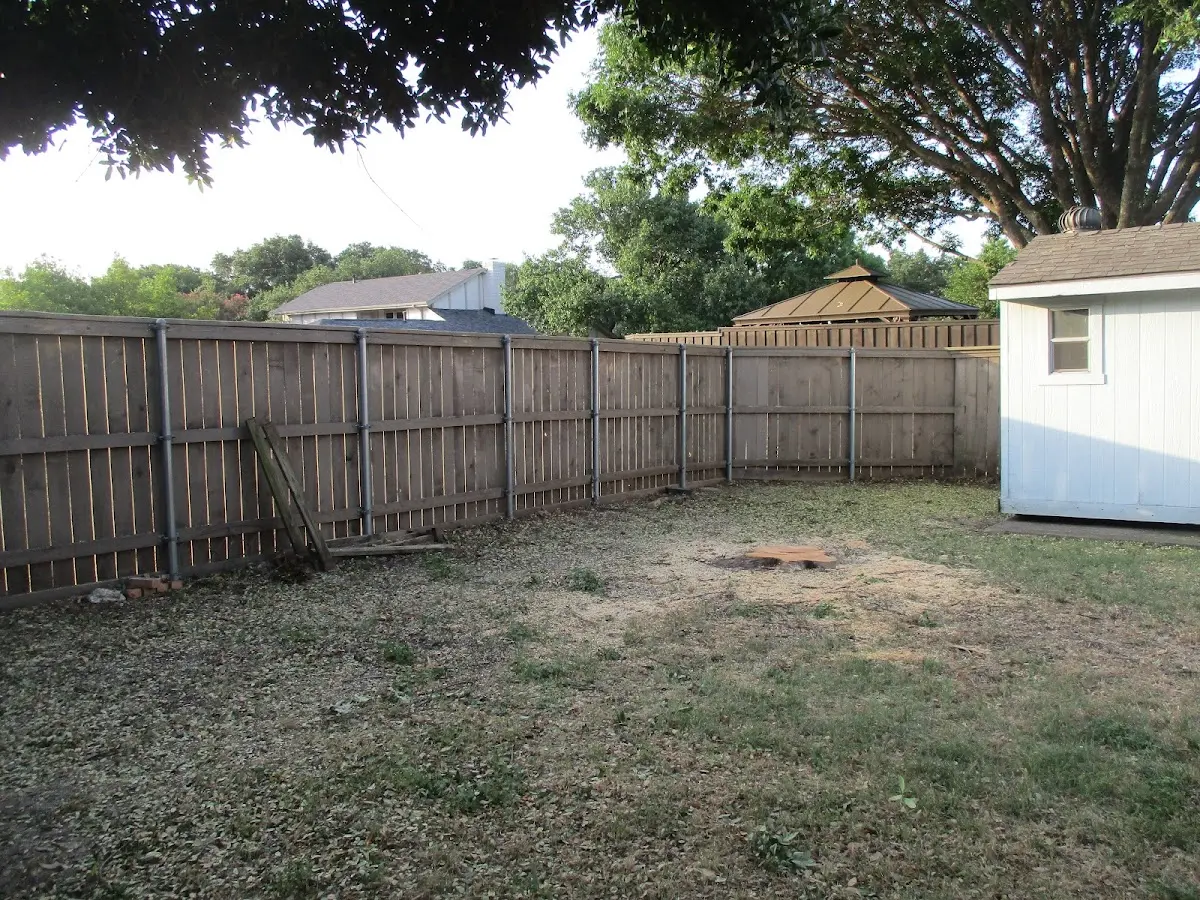 Cleared yard after professional tree removal in Nokomis